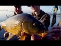 World Carp Classic - Day 2 - Fish on the bank