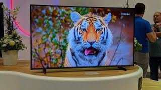 Toshiba QA5D Quantum Dot TV Review: Super Affordable QLED 4K TV 2024 screenshot 5