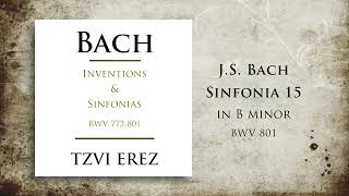 BACH: Sinfonia 15 in B Minor, BWV 801 | Tzvi Erez (30/30)