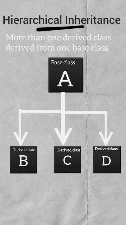 Hierarchical inheritance in cpp|inheritance in c++. - YouTube