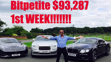 Bitpetite 1st Week Results! ($93,287!)