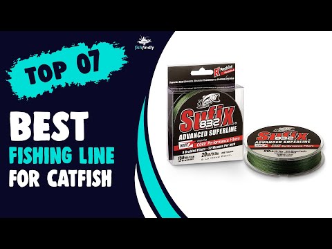 Best Fishing Line for Catfish in 2022 – Cheap & Top Rated Products Guide! 