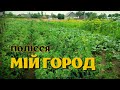 Мій город на 6 сотках