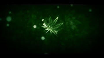 FREE WEED INTRO TEMPLATE + DOWNLOAD - Cinema 4D/AE #4