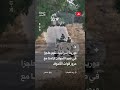 دورية إسرائيلية تقيم حاجزا في صيدا الجولان