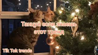 🎄ТАНЦУЙ ЕСЛИ ЗНАЕШЬ ЭТОТ ТРЕНД 2022 | ТИК ТОК ТРЕНДЫ🎄