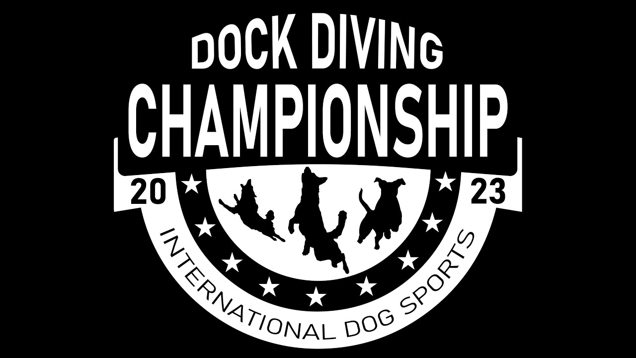 International Dog Sports Live Stream - YouTube