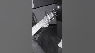 Cover mengejar badai (meggy z)