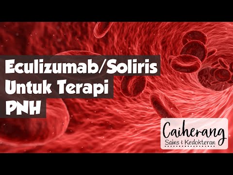 Video: Apakah hemoglobinuria nokturnal paroksismal merupakan kelainan genetik?