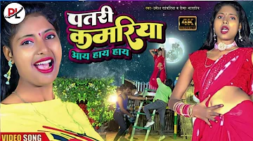 #virel #पतली कमरिया मोरी आय हाय हाय / umesh shawariya / pallavi films champanagar