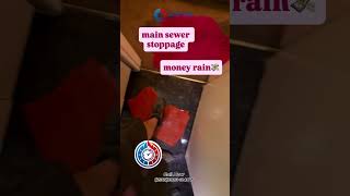 Sewer Backup at Home? | Emergency Plumbing Solutions in Canada