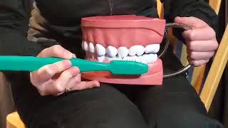 Fone's Brushing Technique