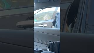 Social Experiment Bulge Watchers