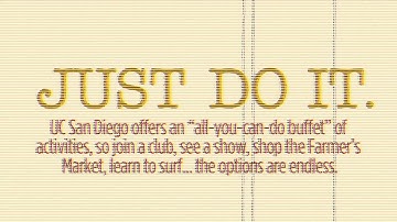 Ultimate Living With Roommates Survival Guide