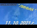 16 + " ГОЛУБИ - NIKOLAEVSKIYE ( В ЛИНЬКЕ ). 11. 10. 2021.г.