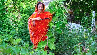 এই গরমে মা ঠাকুমার হাতে বাগানের টাটকা লাউ শাক রান্না | Bengali style Lau shak recipe | villfood