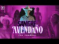 Jr torres  sangre avendao official