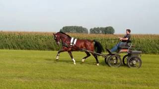 Download Lagu Sold Victor MP3