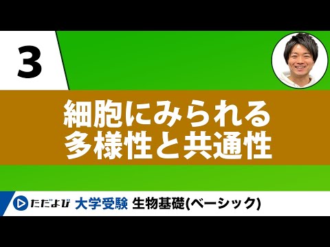 生物基礎】全講座 - YouTube
