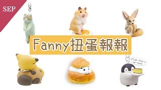 【Fanny 扭蛋報報】2019九月份扭蛋盒玩情報(上)｜芬妮Fanny