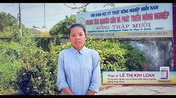 Pexena® 20WG (Pexena Cốm): Chia sẻ từ chuyên gia