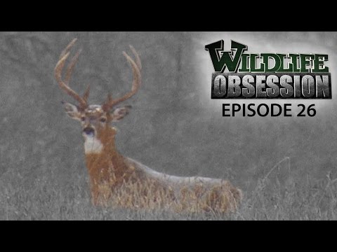 Wildlife Obsession Ep. 26 (Mark Drury | Jaclyn Shaw) - Wildlife Obsession Ep. 26 (Mark Drury | Jaclyn Shaw)