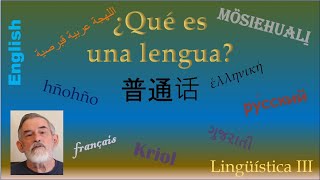 Lingüística III ¿Qué es una lengua?