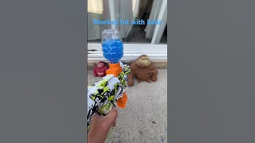 Monkey vs orbie gun