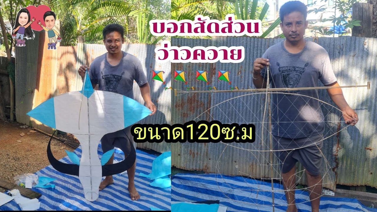 บอกสัดส่วน#ว่าวควาย ขนาดกลางตามคำเรียกร้อง🪁🪁#ปลาหลี่108อาชีพ