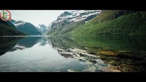 تلاوة خاشعة للقارئ رعد محمد الكردي ماتيسر من سورة نوح