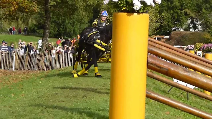 JOHANNESEN Wenche Ma, NOR, WCH Ponies, Pau 2013, S...
