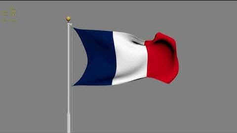 Animated France Flag 3D model