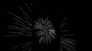 Hellcat Rocket Firework (Purple top) Net Worth