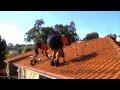 Solar Power Installation On Tiled Roof