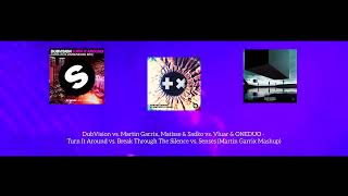 Turn It Around Vs Break Through The Silence Vs Senses martin Garrix Mashup