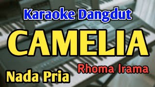 CAMELIA - KARAOKE || NADA PRIA COWOK || Rhoma Irama || Dangdut Rampak || Live Keyboard