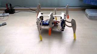 Hexapod 'Tripod Gait'