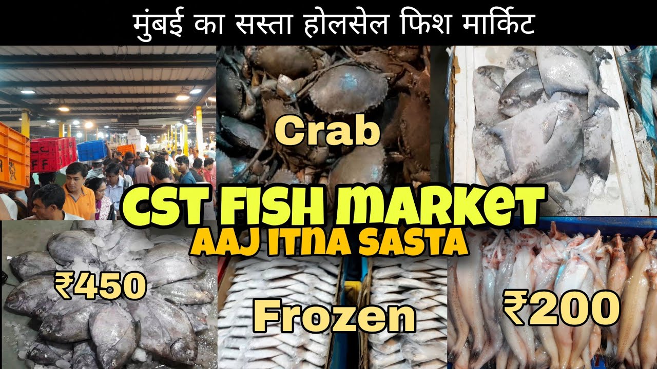CST Fish Market | Mumbai Wholesale Fish Market | Cheapest Fresh Fish & Seafood Prices Today 