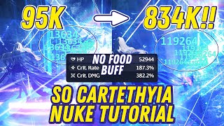 S0 Cartethyia Nuke Dmg Tutorial - Wuthering Waves