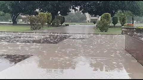 y pal hamy yad ay gy #uog rain view