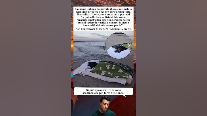 😱 Uomo Porta Il Suo Cane Morente A Vedere Il Mare Un’Ultima Volta ❤️