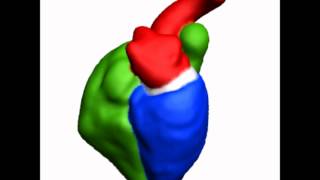 Details Principal Component Analysis (PCA) of Heart Guide