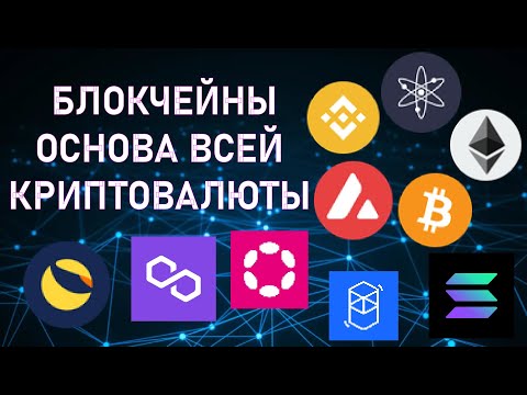 ВЕСЬ ФУНДАМЕНТАЛ КРИПТОВАЛЮТ! ОСНОВНЫЕ БЛОКЧЕЙНЫ В МИРЕ КРИПТЫ!