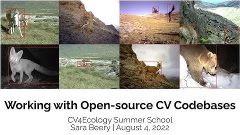 Lecture 5: Working with open-source CV codebases  (Sara Beery)