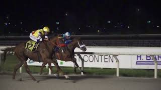 Vidéo de la course PMU PRIX VOO DE ICARO (2023)