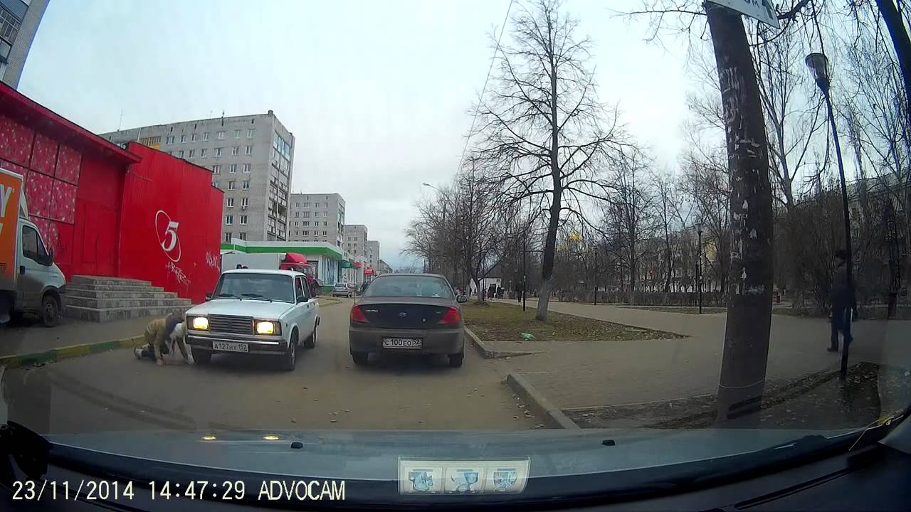 Рязань миньет в машине