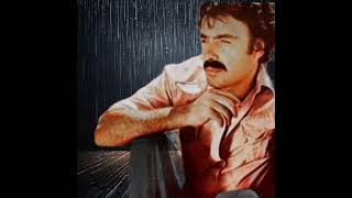 Ferdi Tayfur - Dönebilsem