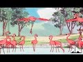 Flamingosis - Flight of The Flamingo