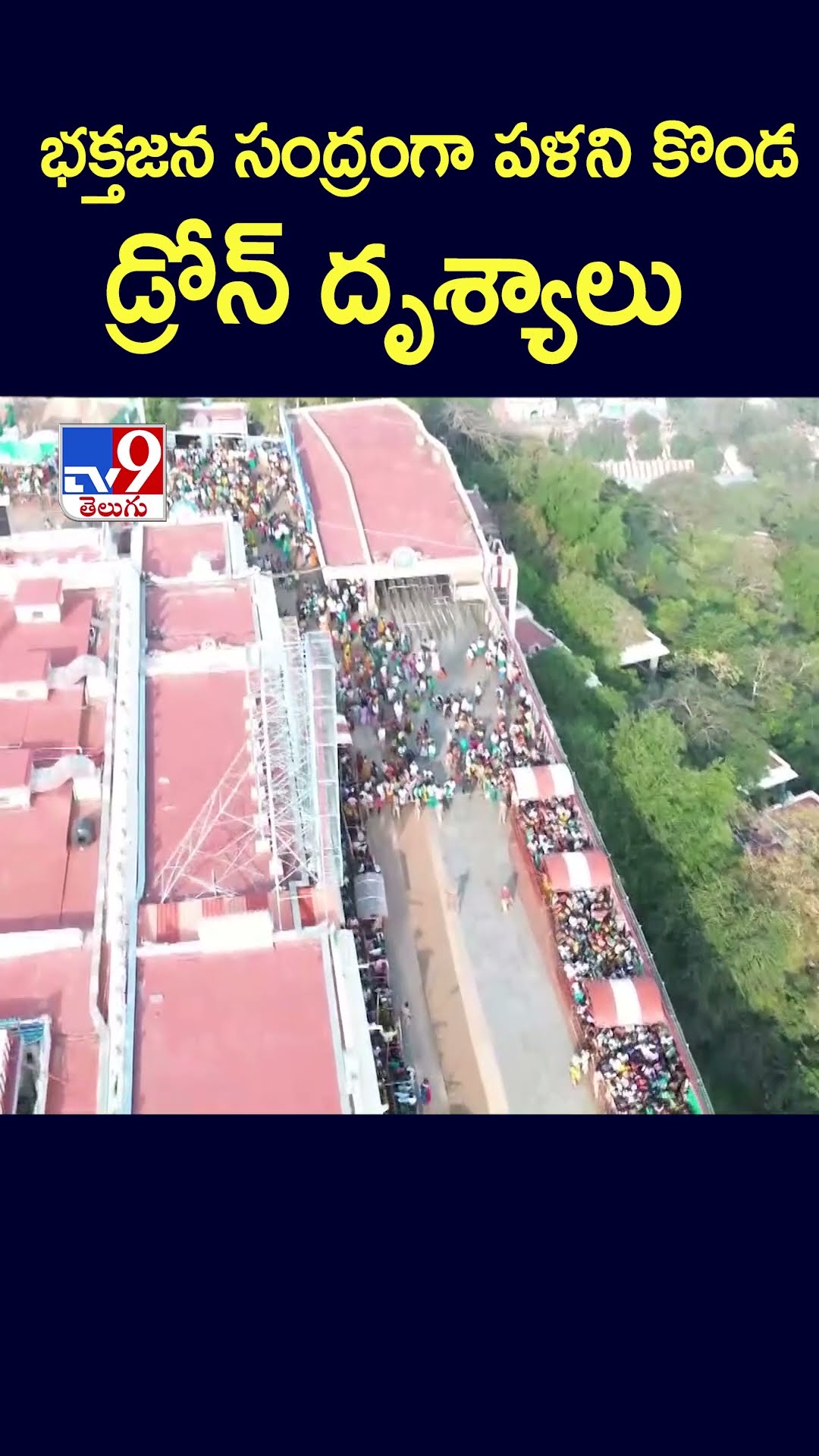 భక్తజన సంద్రంగా పళని కొండ..డ్రోన్‌ దృశ్యాలు - TV9
