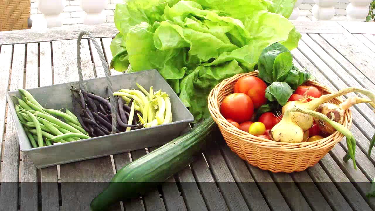 GrowCamp - Året rundt i et overdækket højbed